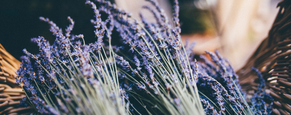 essential-oils-for-healthy-teeth