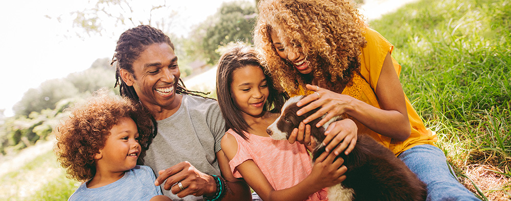 can i buy dental insurance after open enrollment