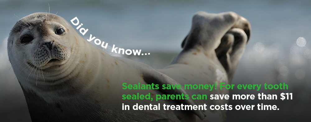 Seal looking at camera with text that says did you know dot dot dot sealants safe money! For every tooth sealed, parents can save more than $11 in dental treatment costs over time.