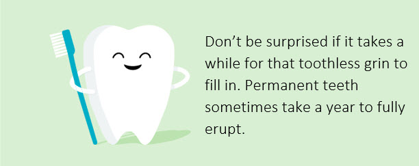 Don't be surprised if it takes a while for that toothless grin to fill in. Permanent teeth sometimes take a year to fully erupt. 
