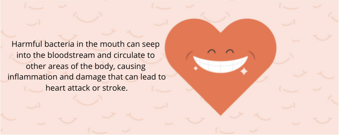 Harmful bacteria in the mouth can seep into the bloodstream and circulate to other areas of the body, causing inflammation and damage that can lead to heart attack or stroke.