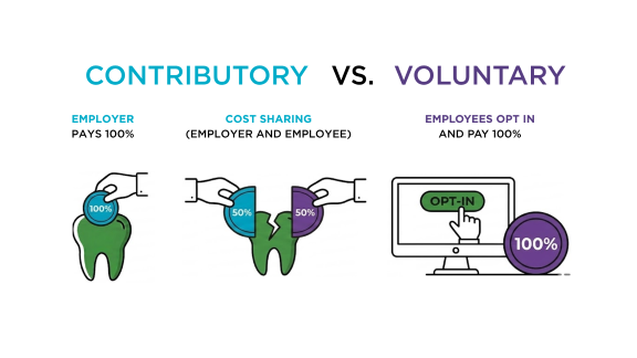 contributory versus voluntary dental benefits