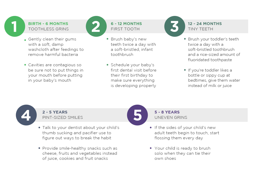 stages of teeth development